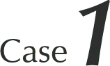 case1
