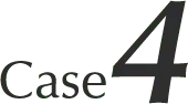 case4
